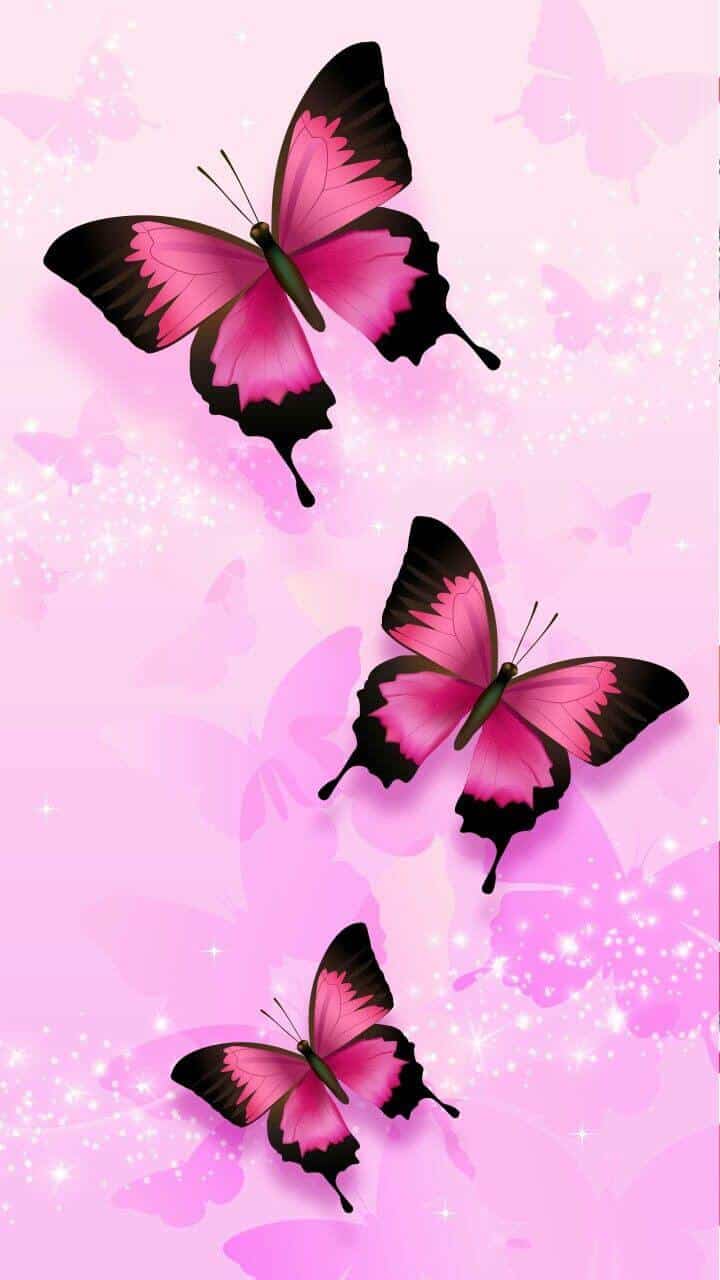 Beautiful butterfly wallpapers for you and all those who love them. Cute butterfly wallpapers to lift your spirits and sow just like butterflies. I know you'll love the butterfly iphone background you find here. Iphone butterfly wallpaper | butterfly wallpaper iphone of different colors and styles. Enjoy your pretty butterfly wallpaper.