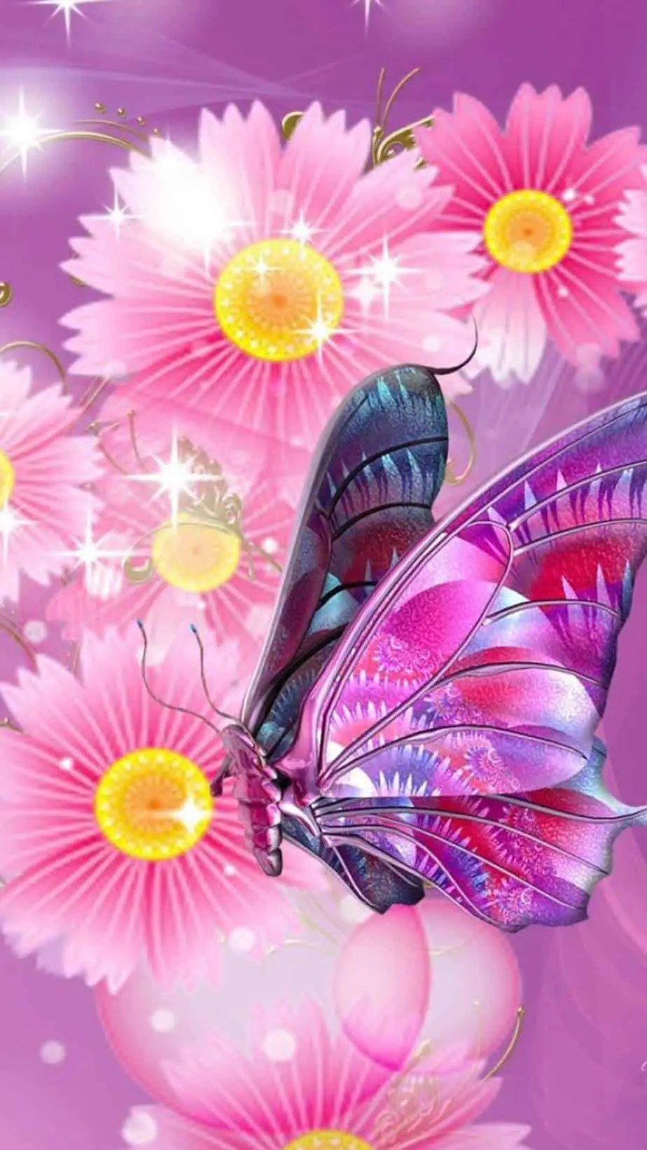 cute butterfly wallpapers iphone.