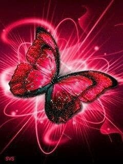 red wallpaper for iphone butterfly aesthetic