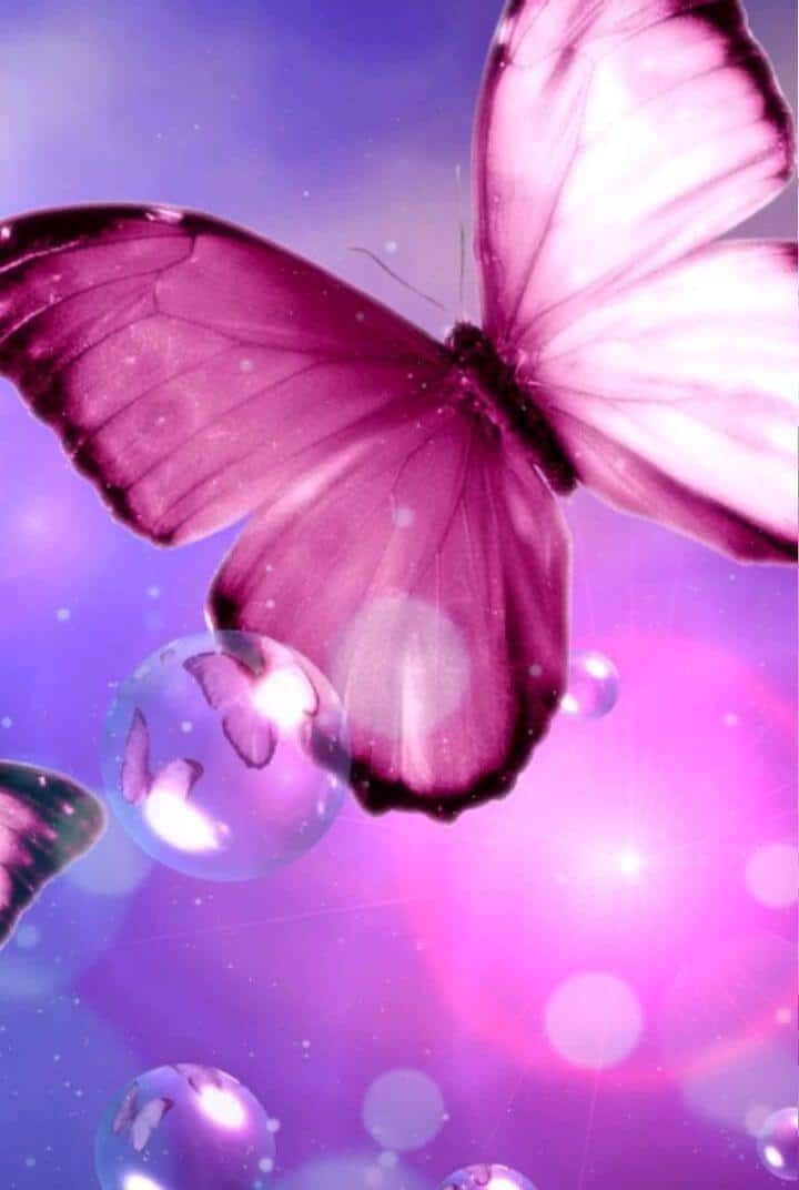 Pink butterfly wallpapers background