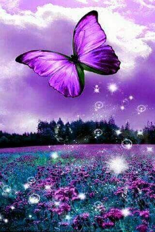 Purple Beautiful butterfly wallpapers.