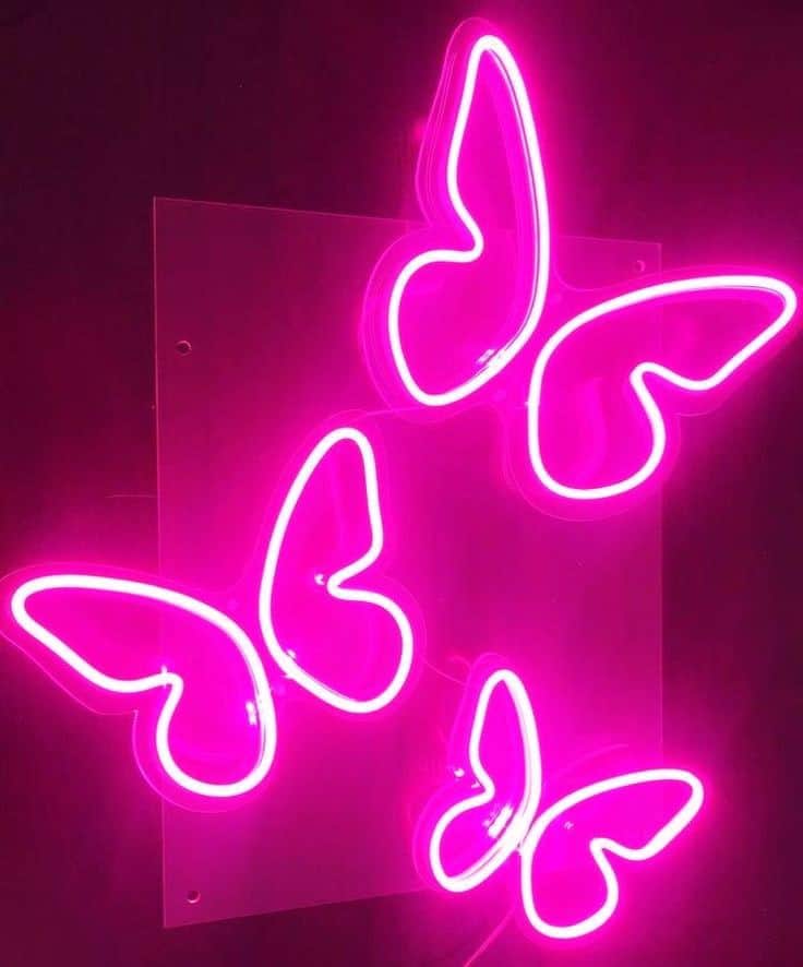 neon wallpaper pink cool