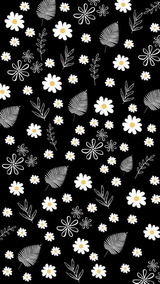 cute daisy wallpaper