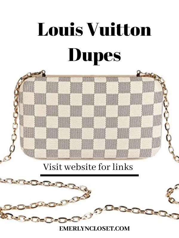 Louis Vuitton Dupes You'll Love - by Kelsey Boyanzhu