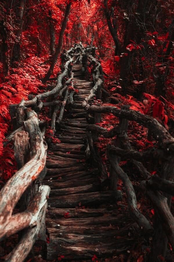 20+ Red Wallpaper For Iphone With A Dramatic Feel - Your Phone will ...