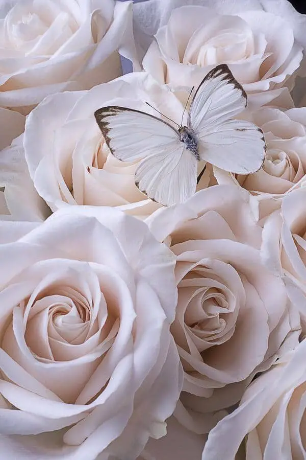 Beautiful Flower Wallpaper Iphone Be Mesmerized Emerlyn Closet