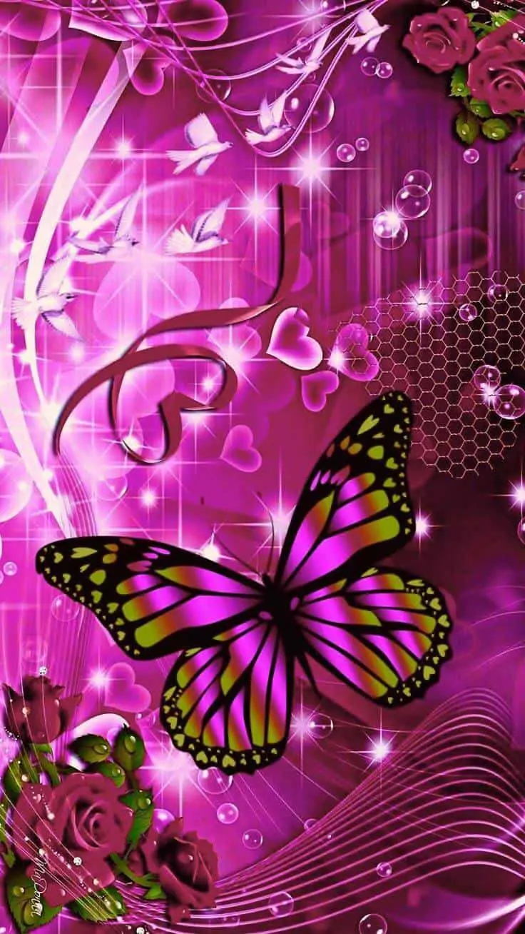cute butterfly with pink background.