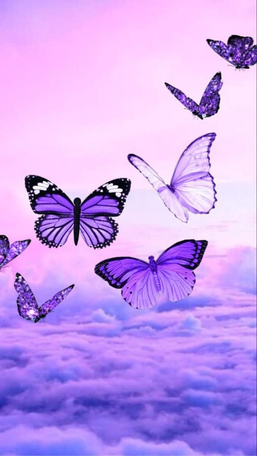 purple butterfly wallpaper iphone