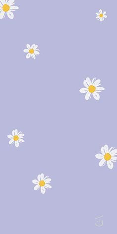 cute daisy wallpaper