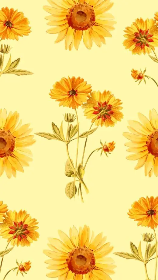 flower wallpaper iphone