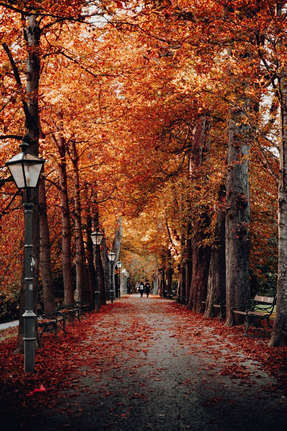 autumn aesthetic wallpaper