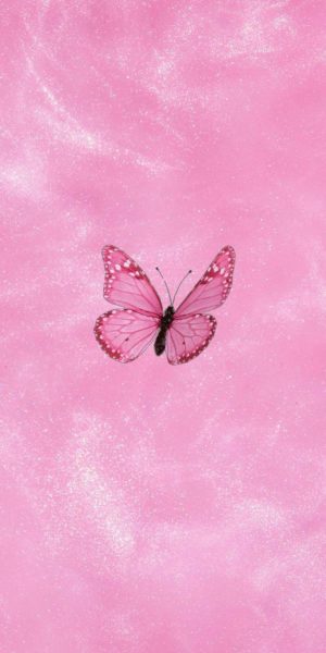 20 Cute Butterfly Wallpaper Backgrounds For Girls Phone Emerlyn Closet 20-cute-butterfly-wallpaper-backgrounds-for-girls-phone-emerlyn-closet