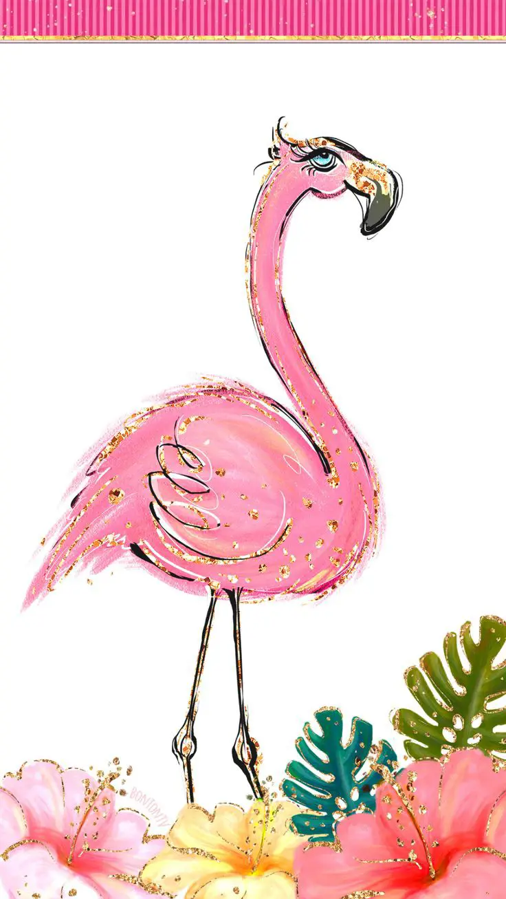 cute flamingo wallpapers