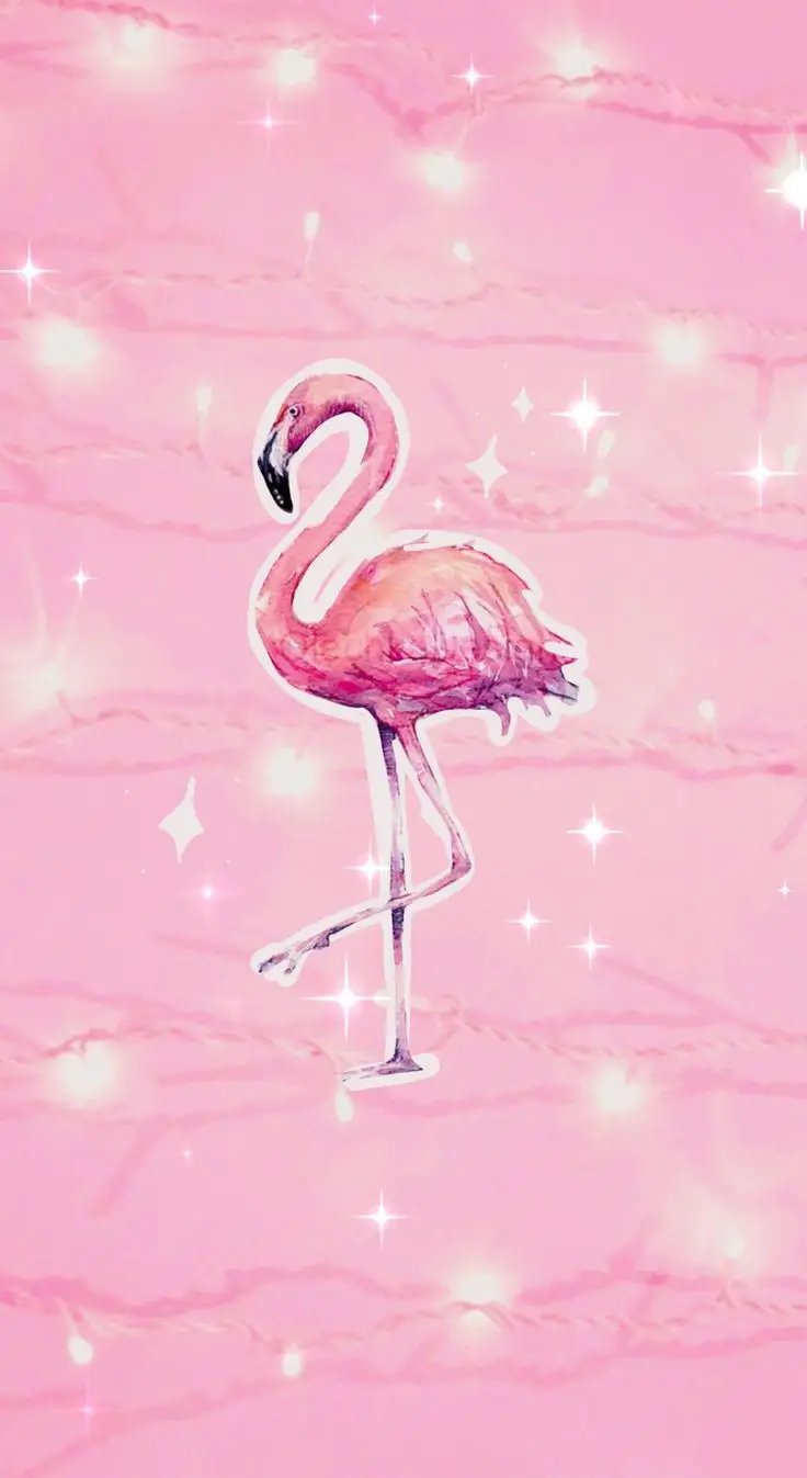 cute flamingo wallpapers