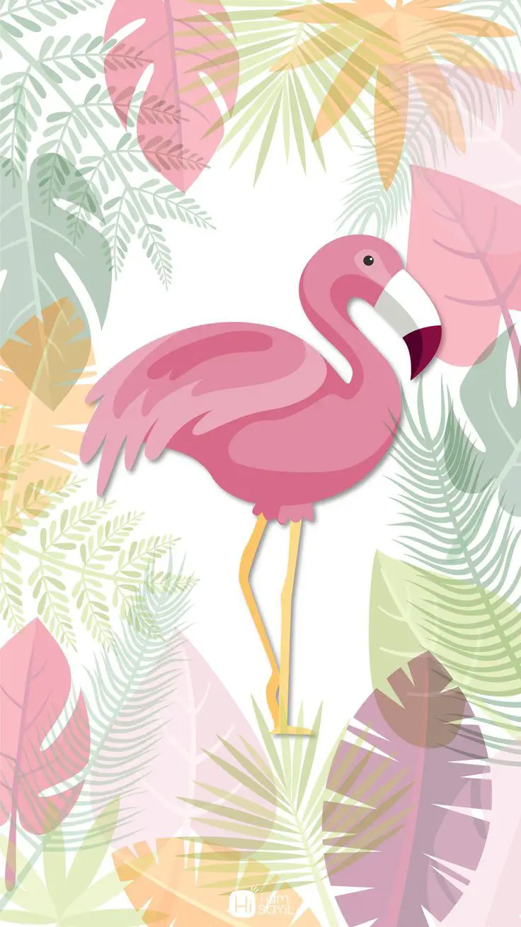 flamingo wallpaper iphone
