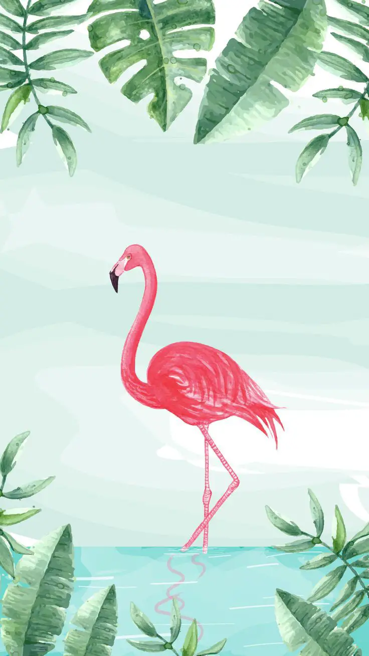 flamingo wallpapers
